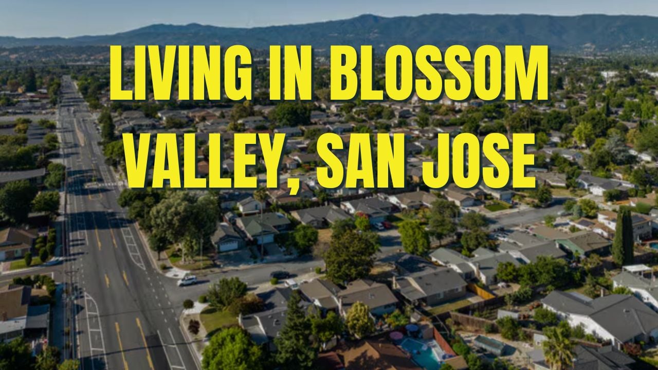 San Jose’s Most Underrated Neighborhood (That You’ve Never Heard Of!)