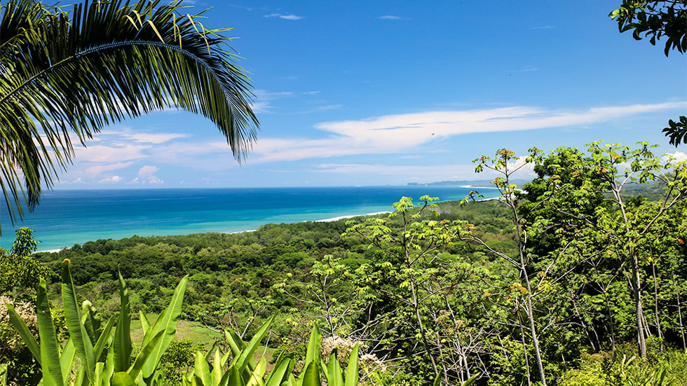 Front Row Ocean View Property with a Private Waterfall
