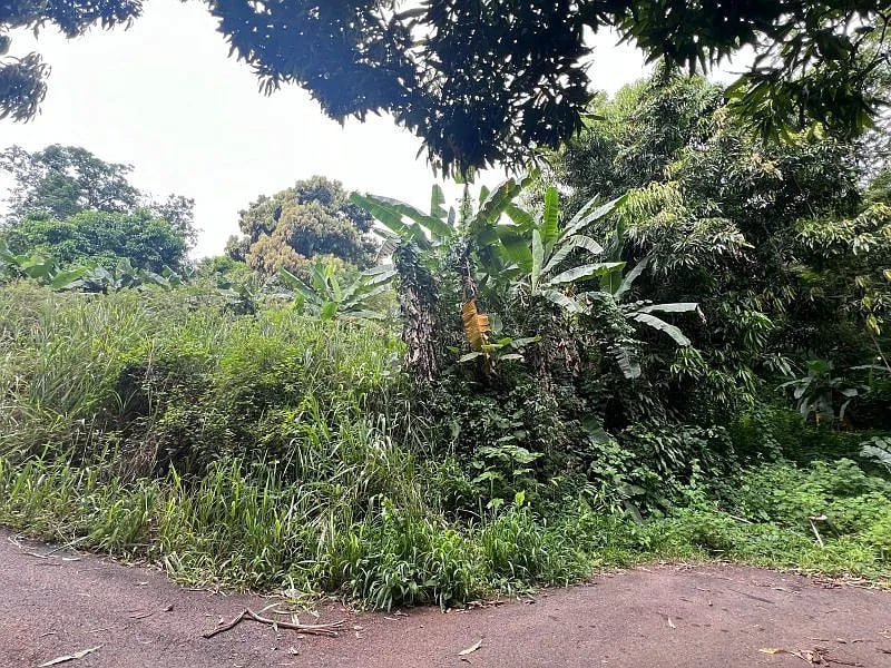 Carr 349 Km 1.01 Bo Quebrada Grande