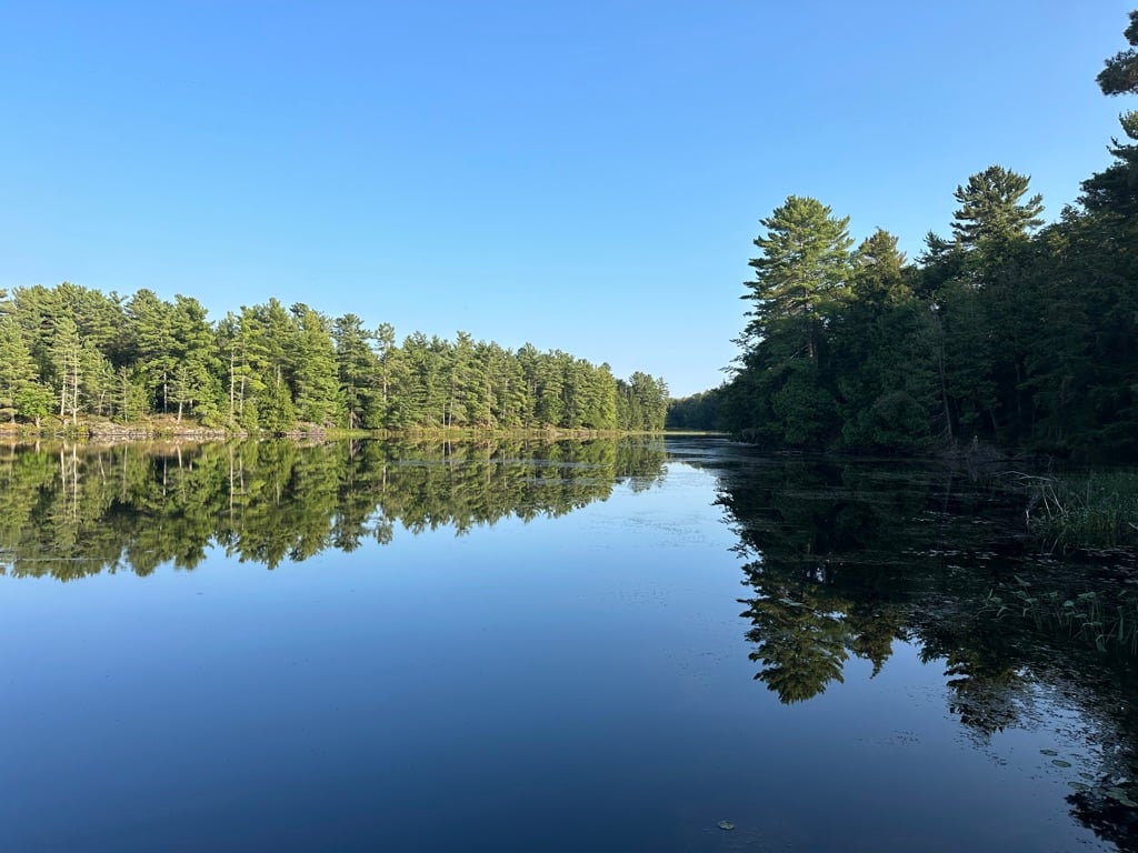 Camel Lake
