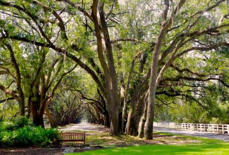 Eco-Friendly Home Upgrades That Add Value in Belfair SC