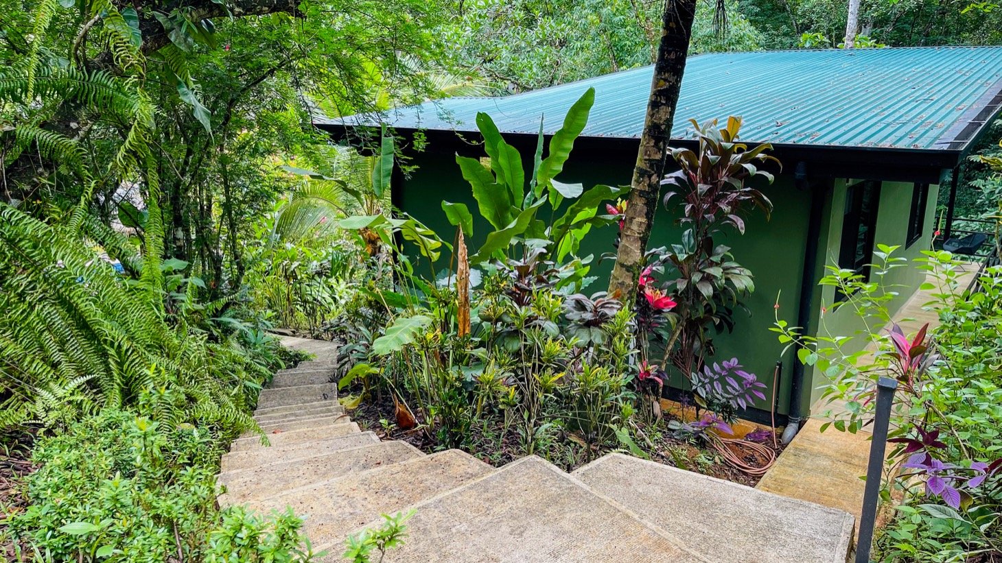 Modern House For Sale With Jungle View, Peaceful Stream, and Rental Cabins
