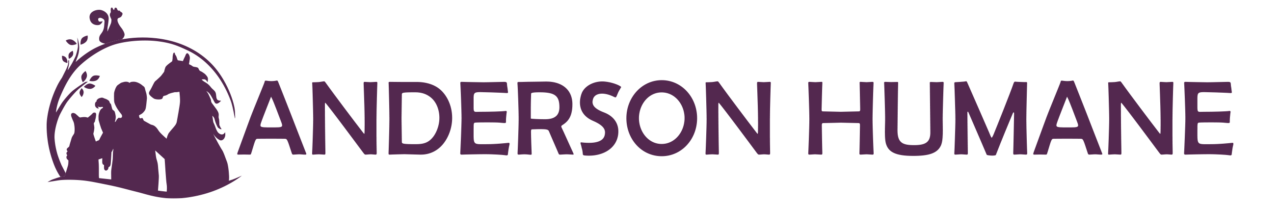 logo {{@index}}