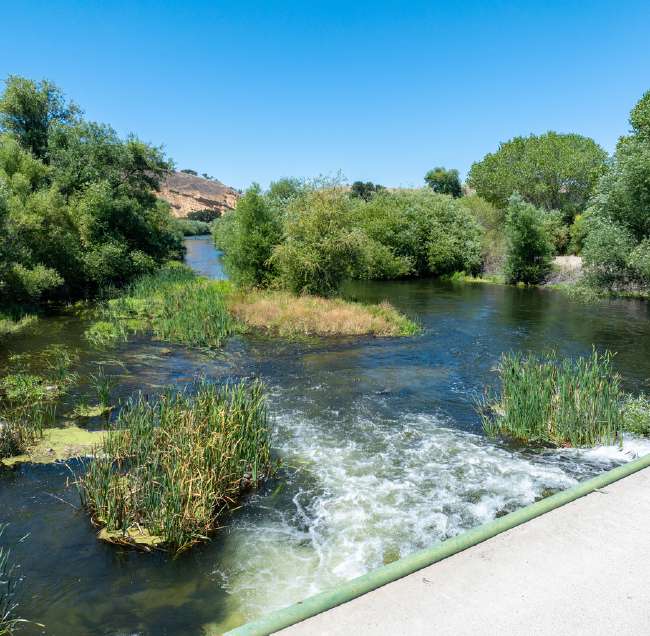 Joseph Vineyard | 76987 Nacimiento Lake Drive