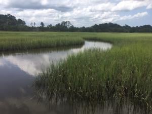 2502 Royal Oak Drive