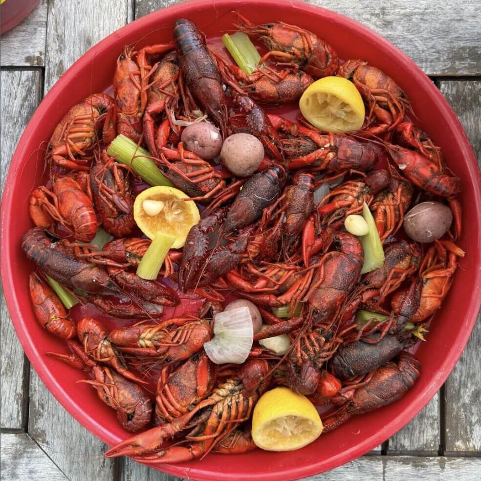 Enchanted Rock State Natural Area