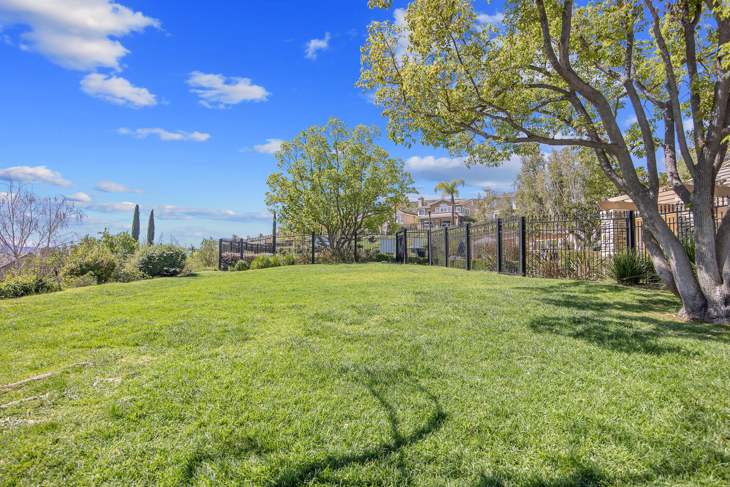 2924 Blazing Star Drive