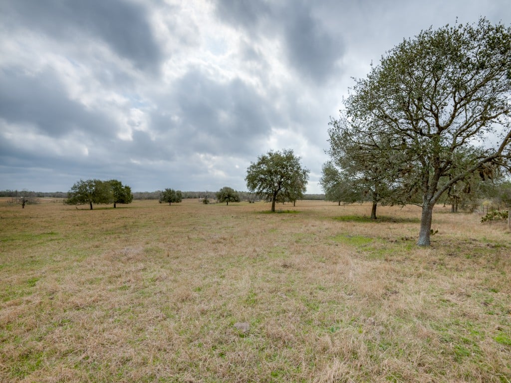 300 Acres in Goliad County 