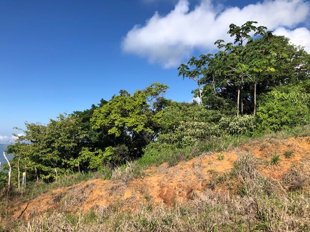 1.24 ACRES – Alto de San Juan, TOP OF THE WORLD VIEWS, Cool Breezes, Ready to Build Your Dream!!!!!