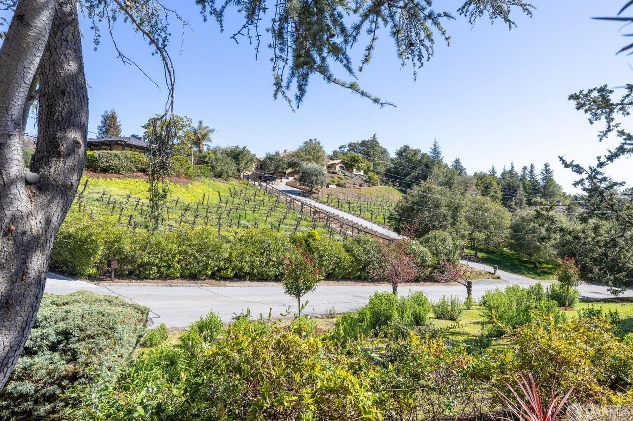 12769 Dianne Dr