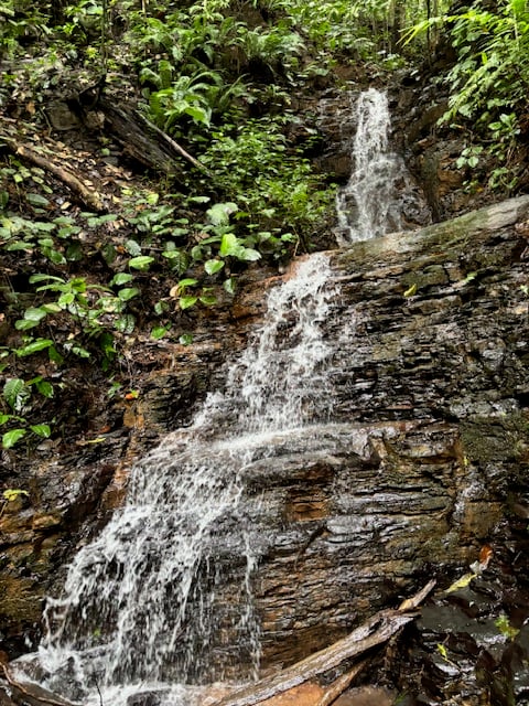 17.85 ACRES – Stunning Large Land With 2 Waterfalls Near Dominical Beach!!!
