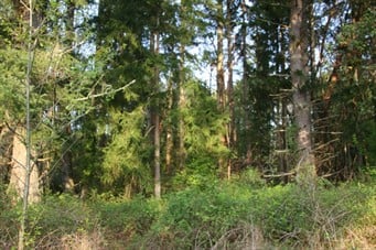 0 Lot 21 Belfair Avenue NE