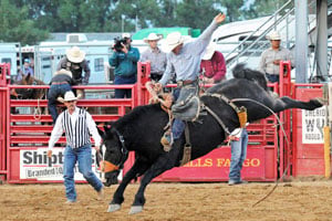 Sheridan Wyo Rodeo