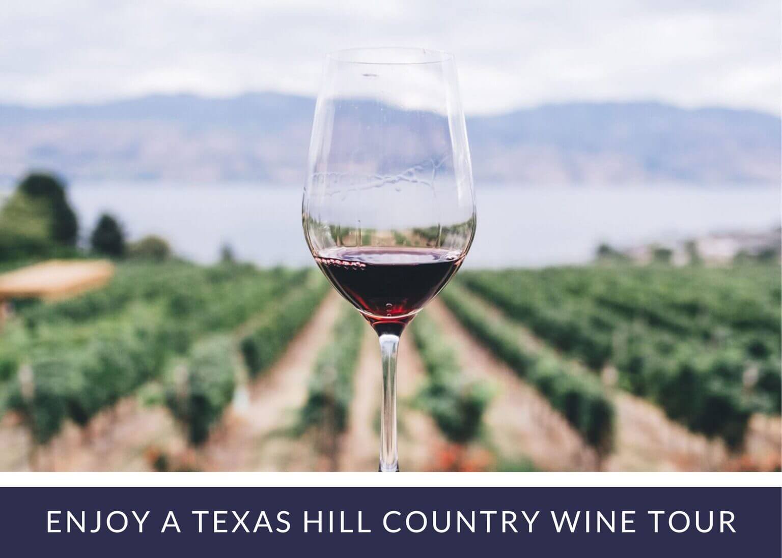 Guest houses with green lawn