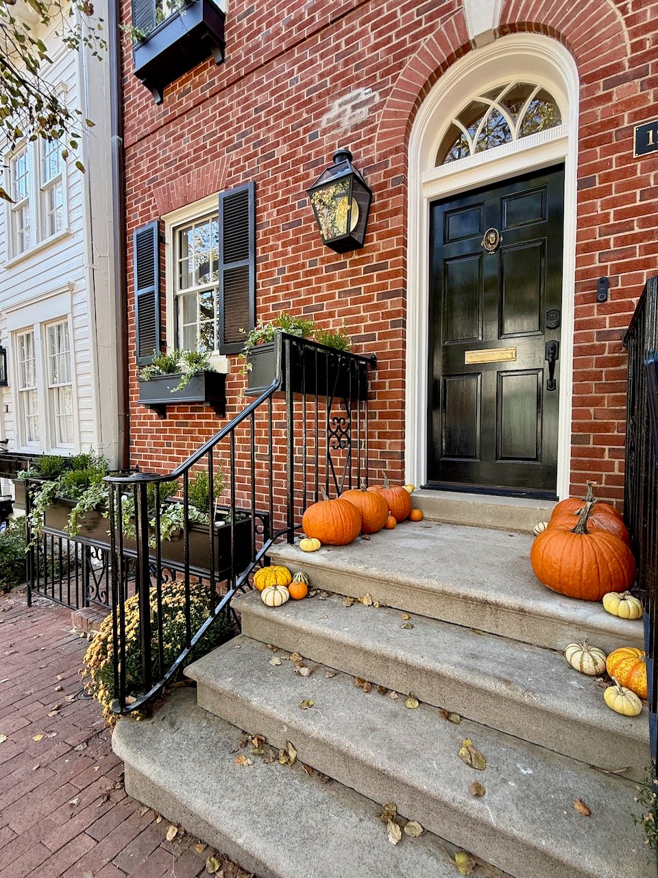 Georgetown in the Fall: Pumpkin-Lined Doorways and a Village Feel