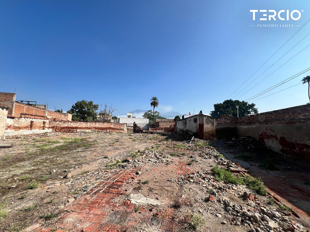 Propiedad en Renta uso de suelo Mixto Ameca $60,000.00 MN