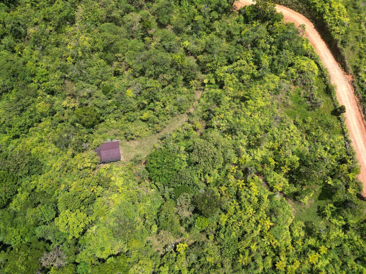 32 ACRES – Mountain Land With Spring, Jungle & Usable Space!!!!