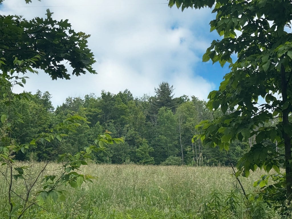 311 Jackson Road