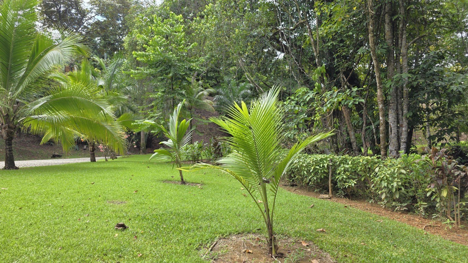Refreshing Riverfront Retreat in Ojochal