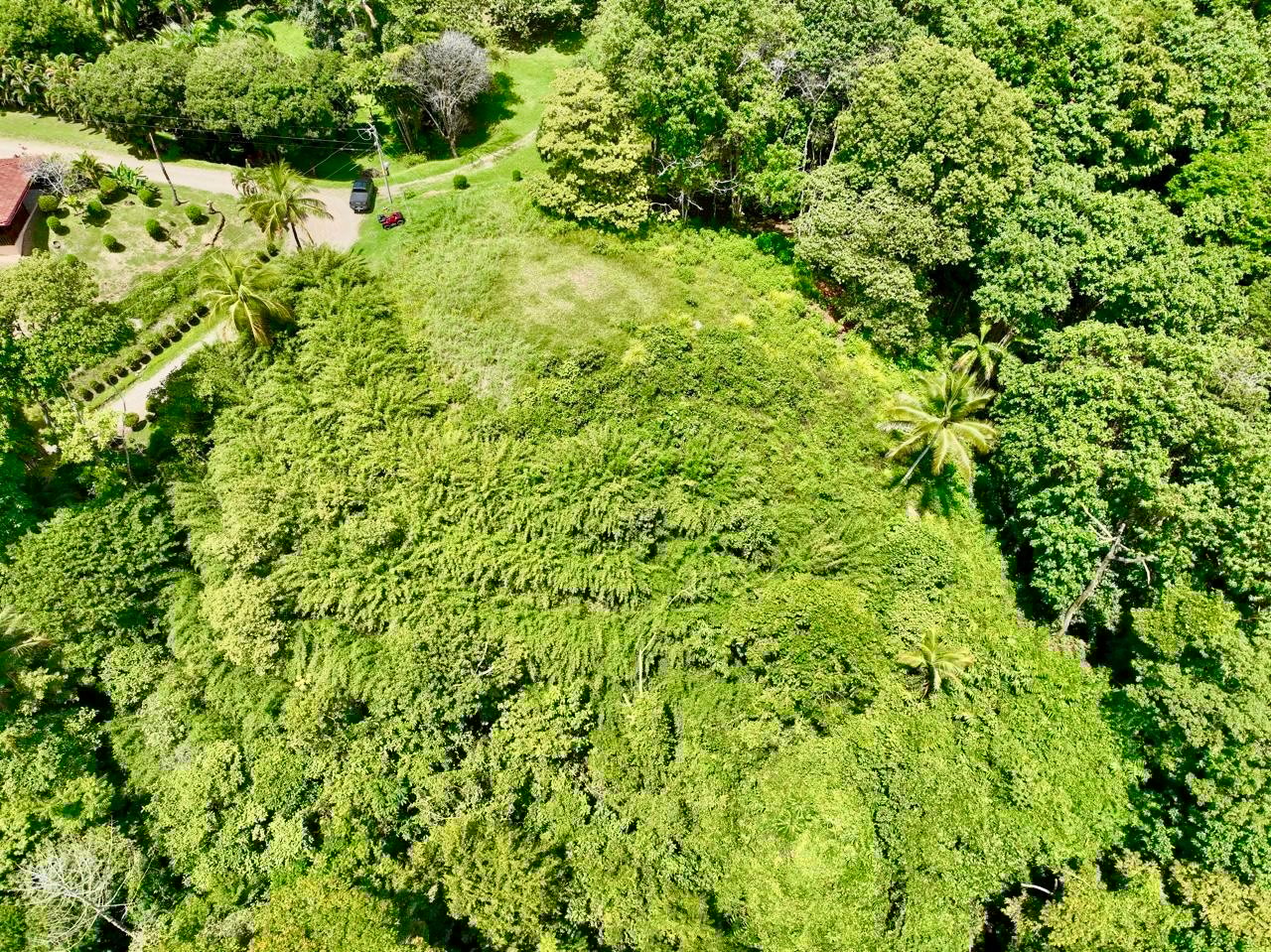 Whale’s Tail & Ocean View Lot 5.3-Acre