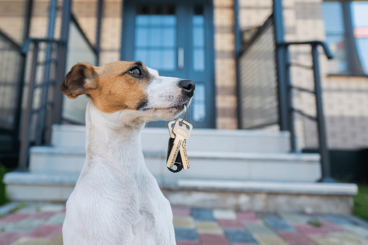 Think Twice Before Waiting for Lower Home Prices