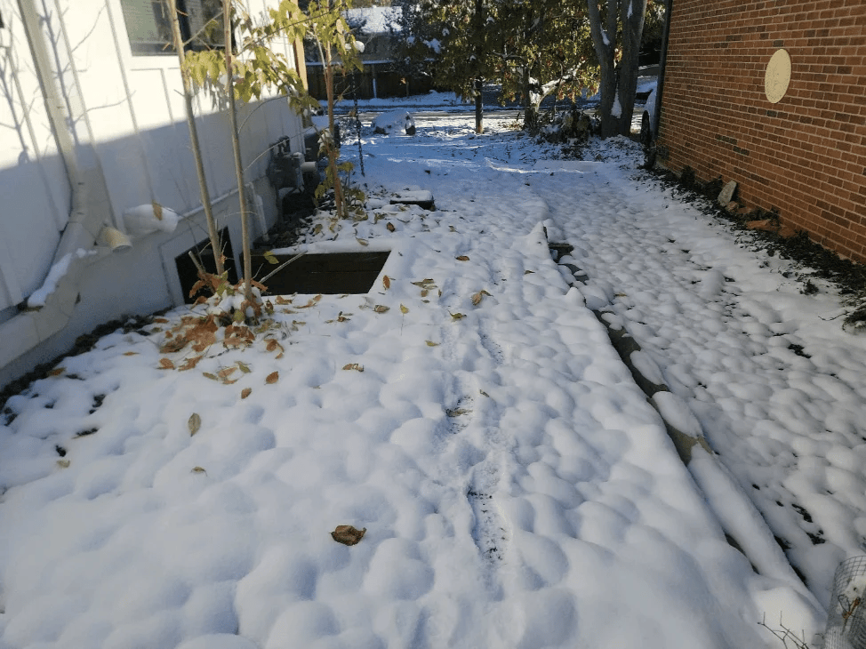 Snow-covered walkway between buildings, with trees and scattered leaves.