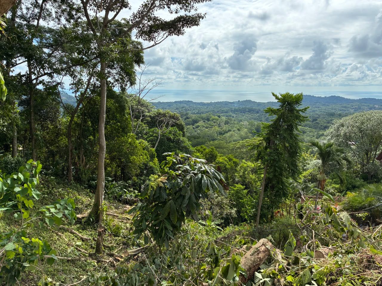 Affordable Ocean View Lot in Ojochal Phase9