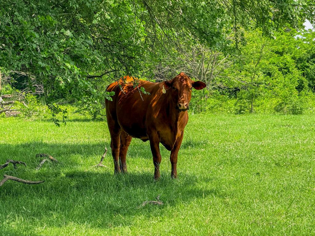 +/-231.65 Acre Legacy Ranch Available!