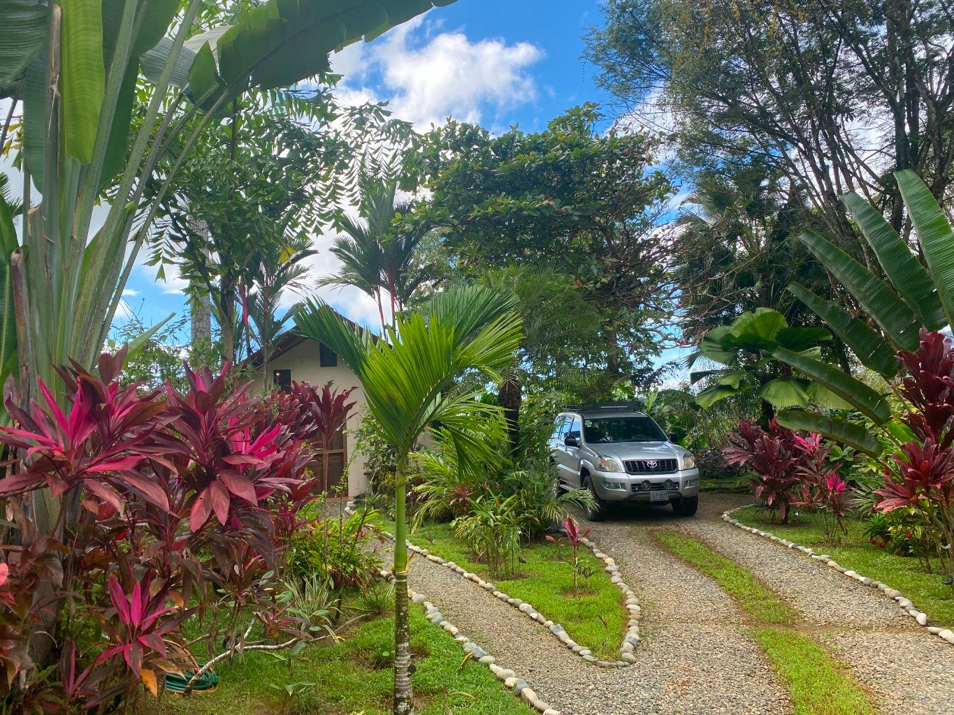 Stunning 3.5-Acre Ocean View Property in Costa Rica – Endless Possibilities Await!
