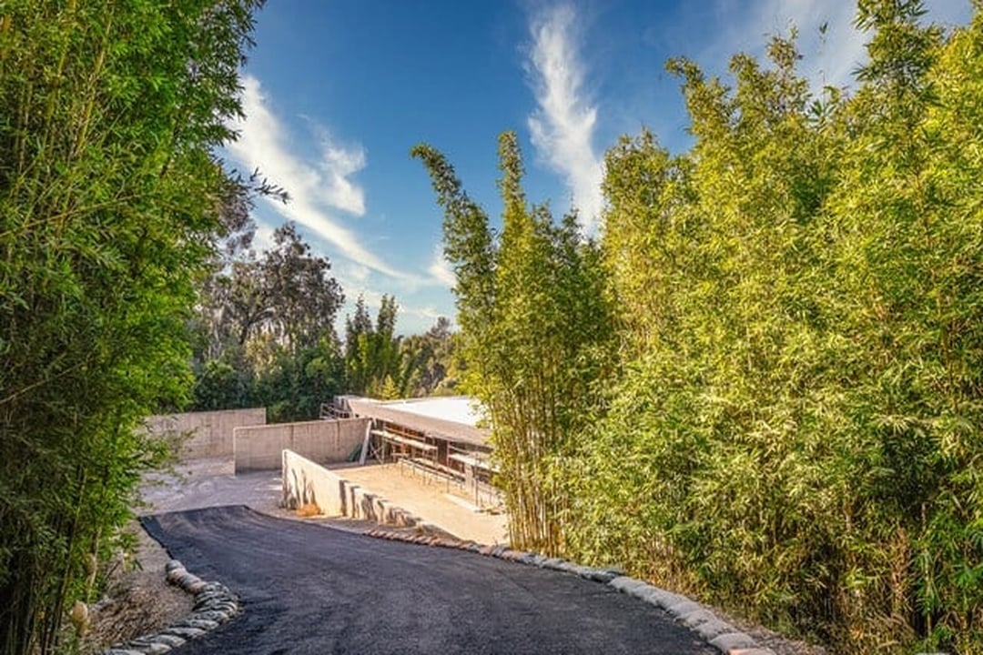 Oasis Tranquil