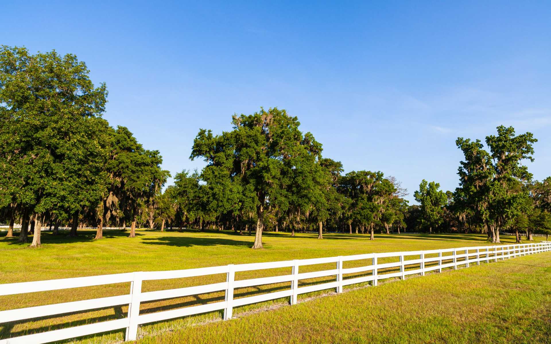Client Testimonials & Success Stories | Zia Real Estate