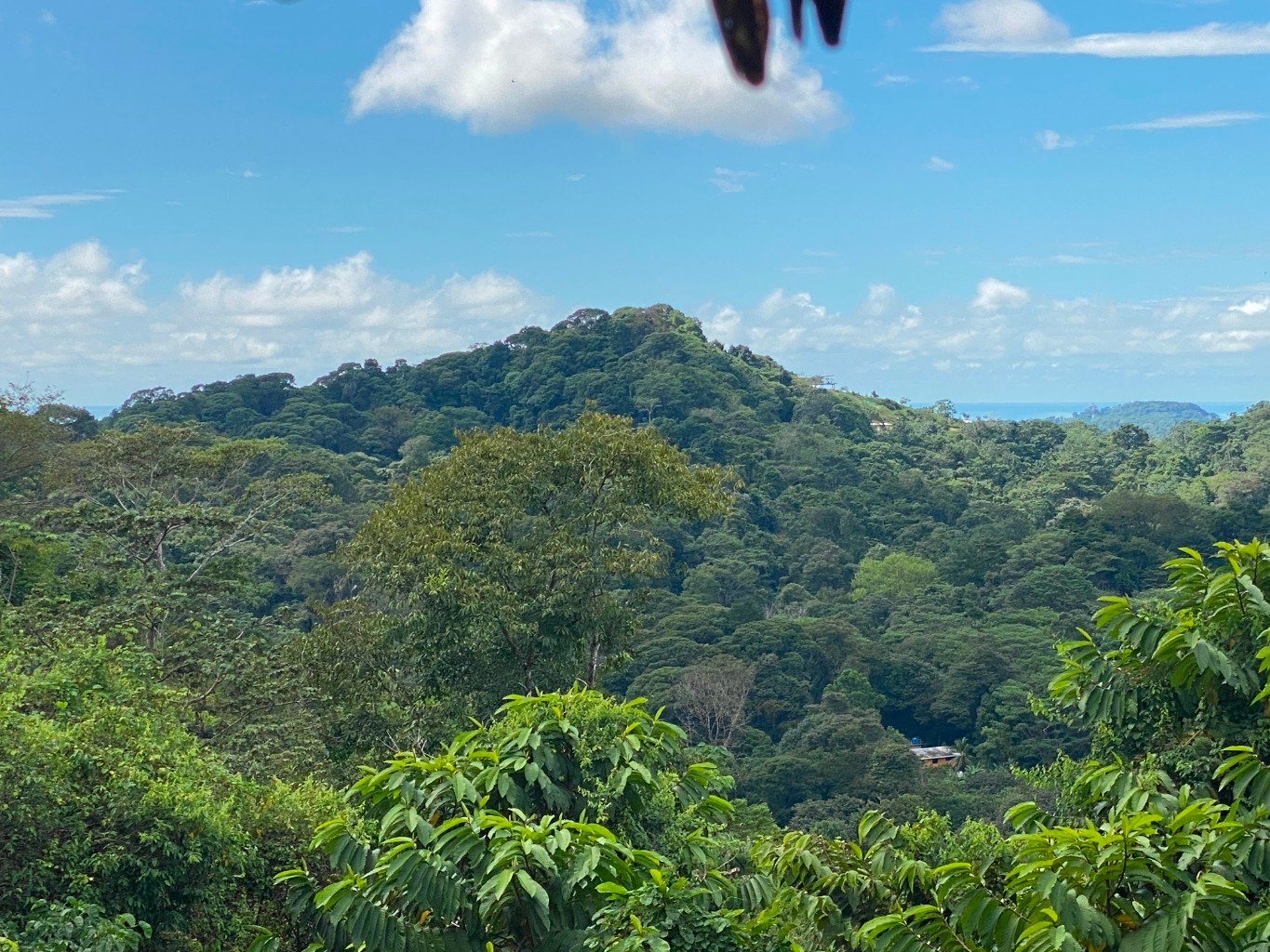 Stunning 3.5-Acre Ocean View Property in Costa Rica – Endless Possibilities Await!