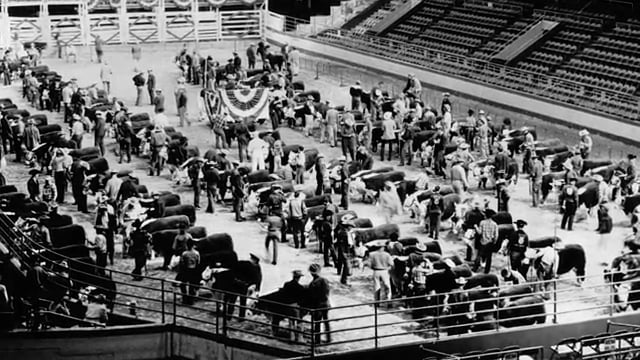 TFD: Episode 12 - Go Texan Day