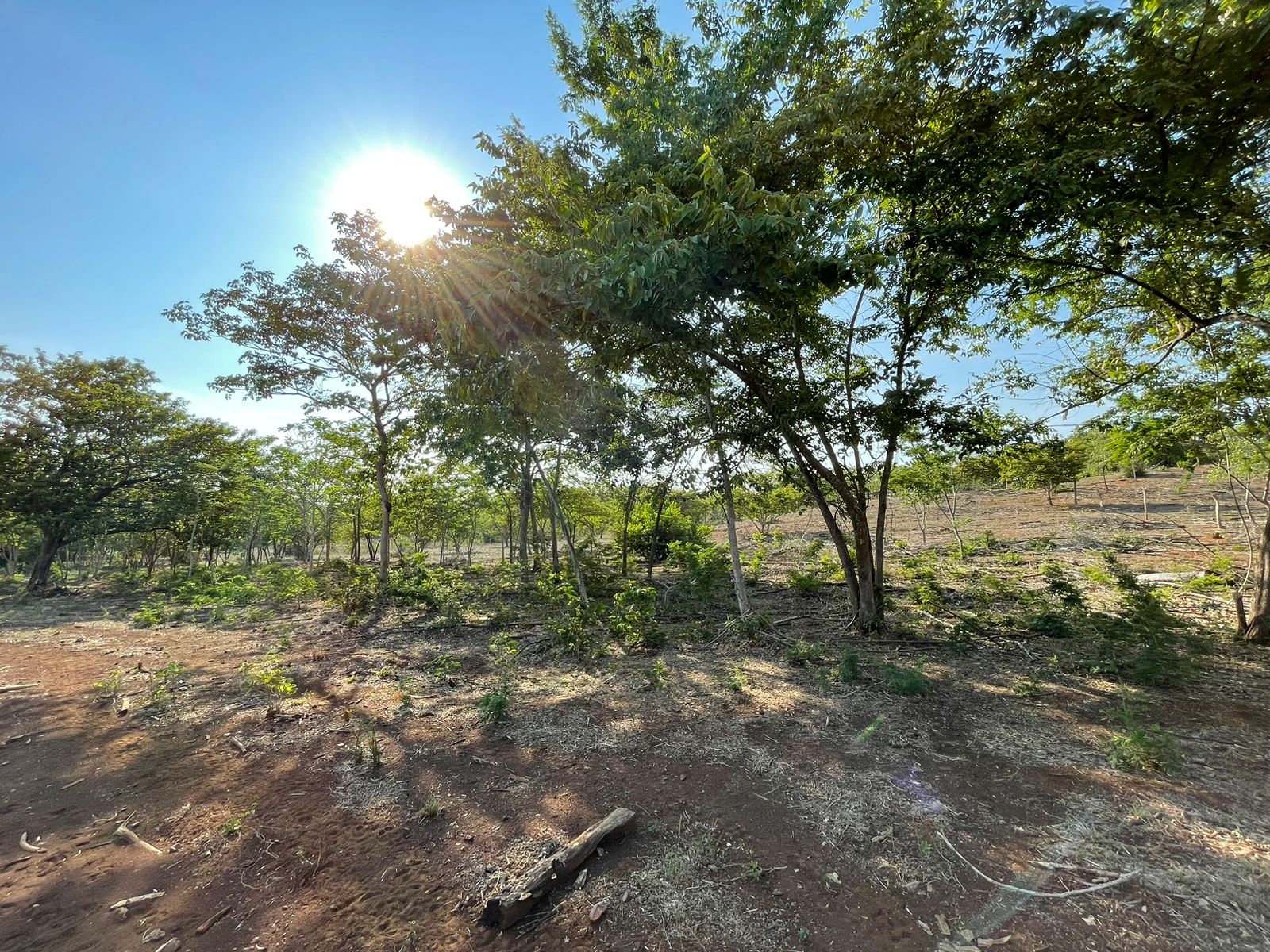 Beautiful Estate Lots Strategically Located in Villareal – Tamarindo – Guanacaste