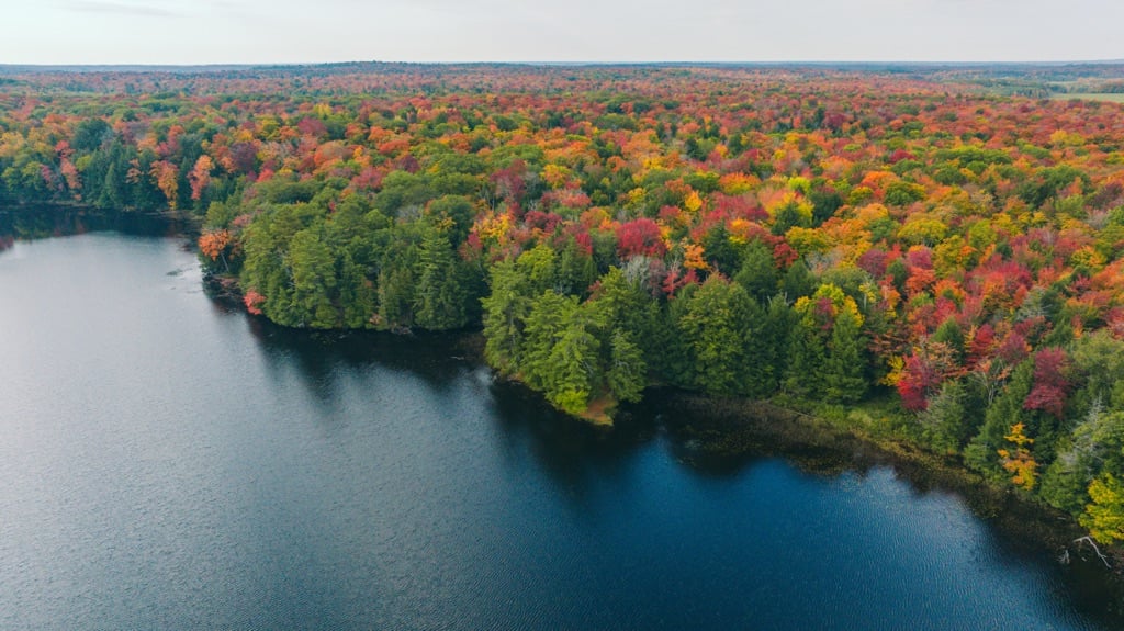 Camel Lake