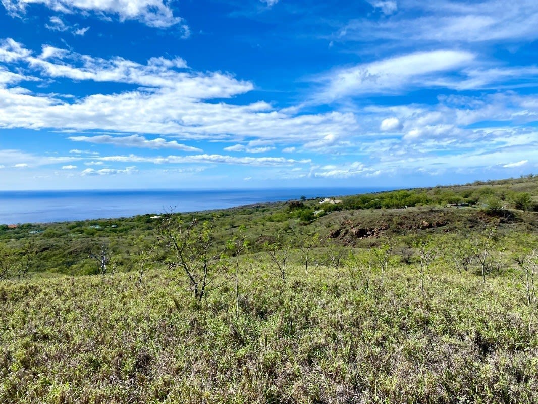 Kohala Ranch Lot #840