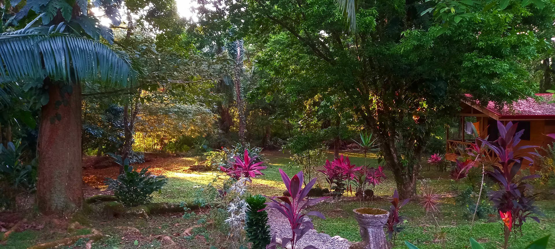 8 Cabinas with Swimming Pool on Lush Jungle Property | Uvita