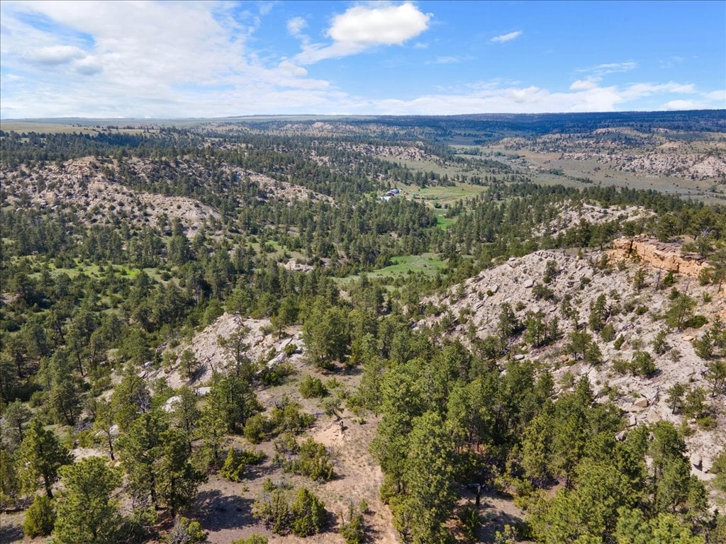 369 Border Trail