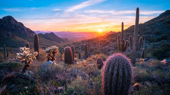 North Scottsdale