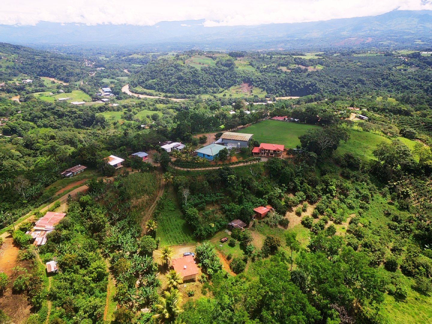 Productive Agricultural Farm with Valley Views in Cristo Rey of Platanares, Pérez Zeledón