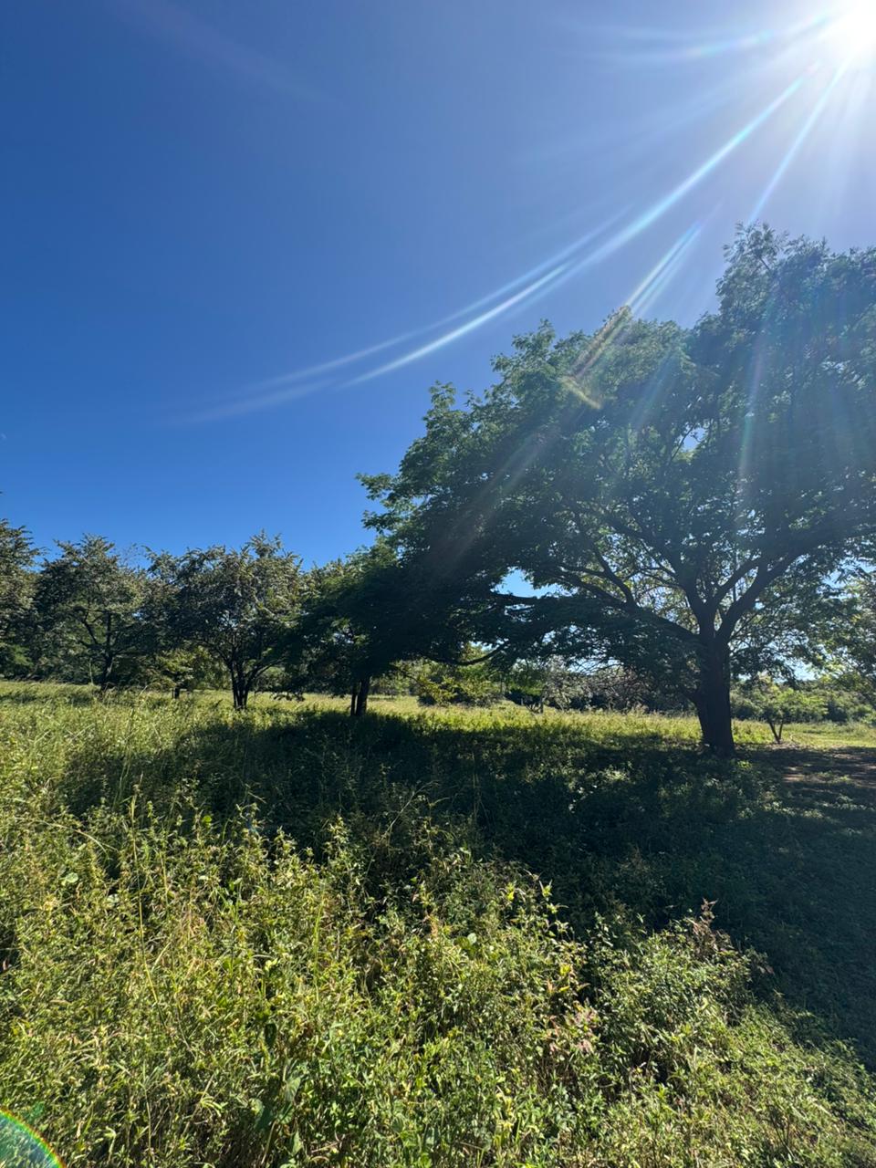 Shambala Estates Lot, Playa Avellanas