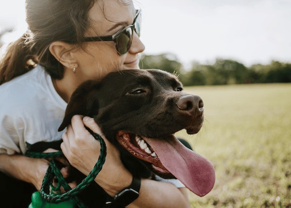 Dog Parks in West L.A.