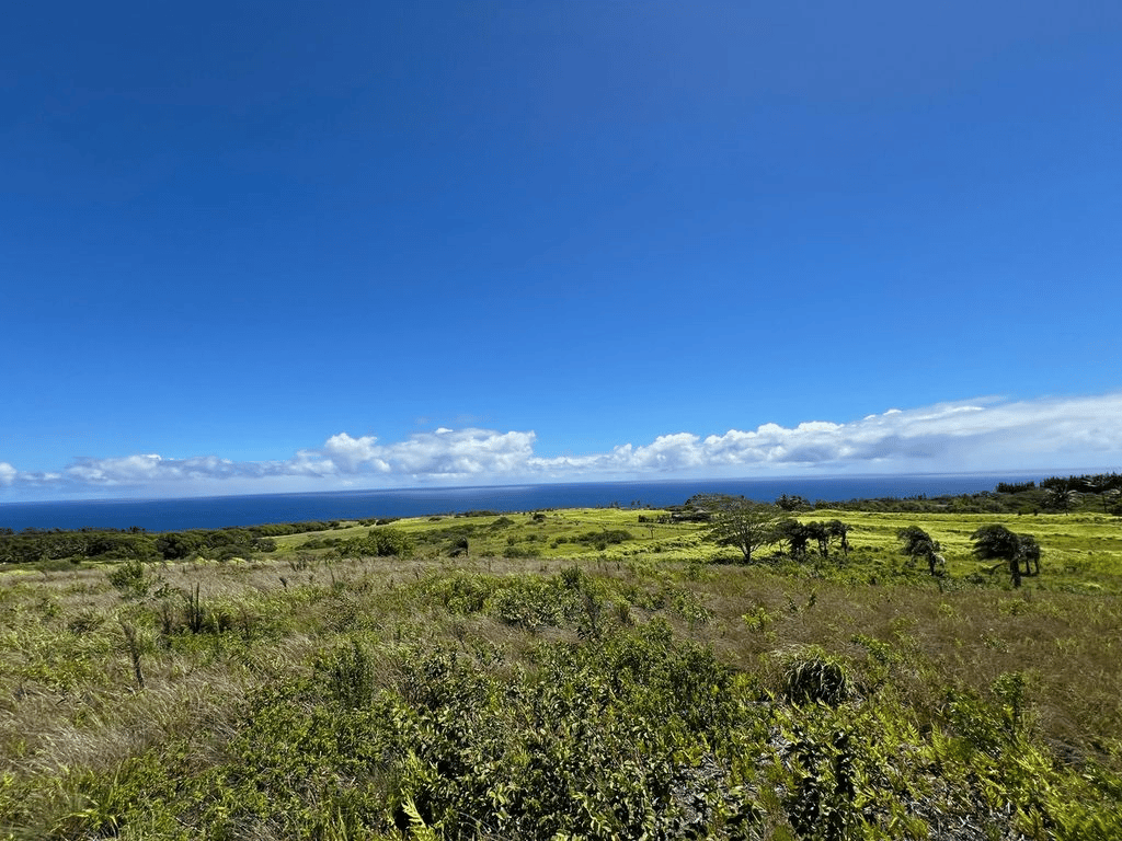 Peahi Estates
