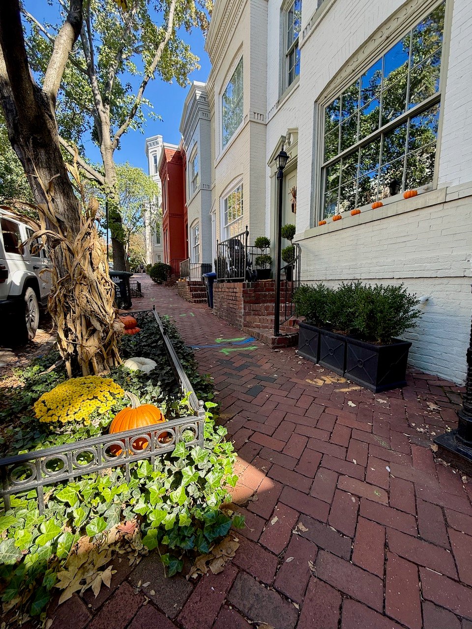 Georgetown in the Fall: Pumpkin-Lined Doorways and a Village Feel