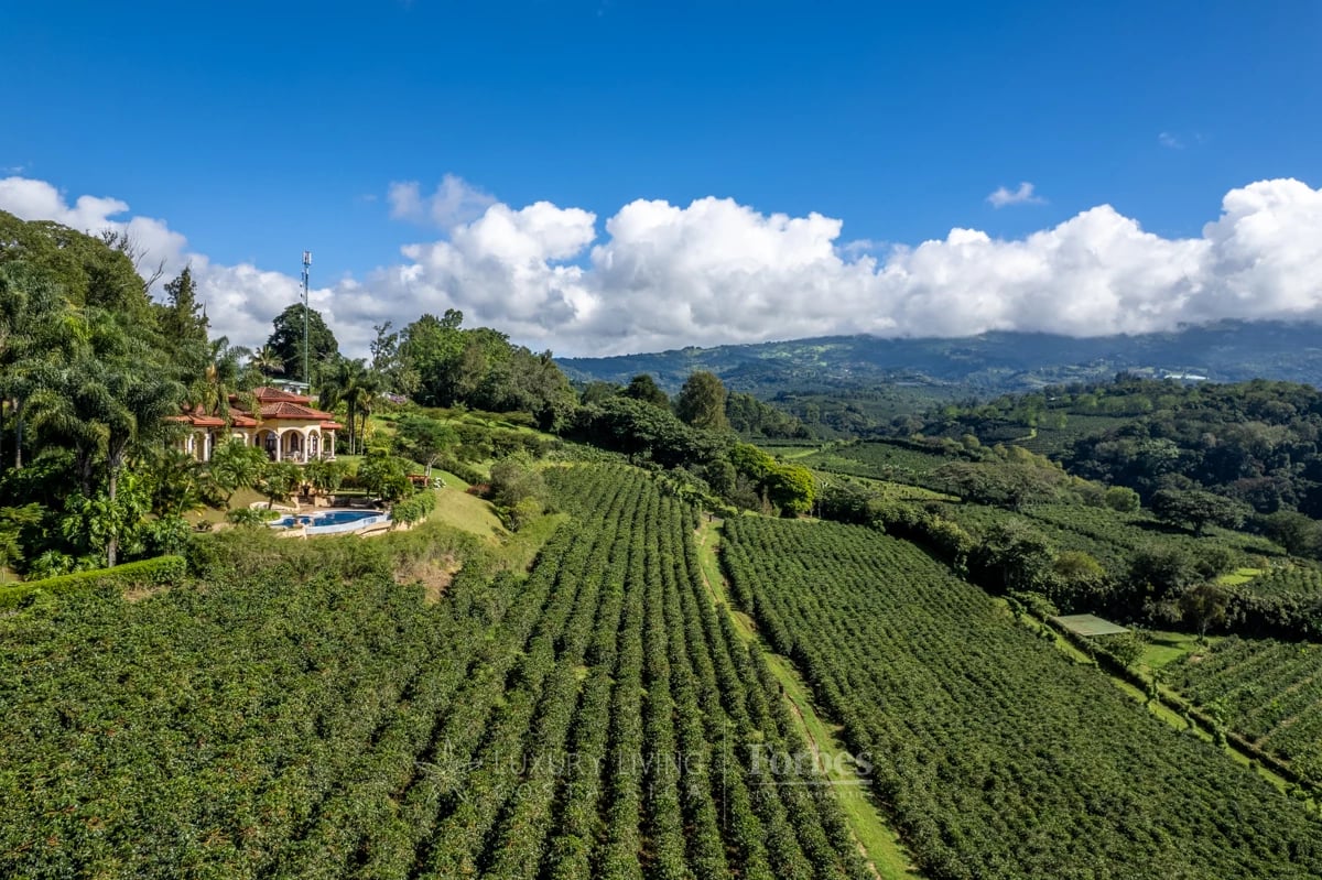 20089 - Luxurious Coffee Estate for Sale in the Mountains of Alajuela