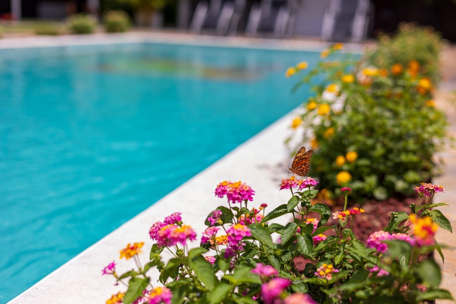 Incredible turnkey investment opportunity, 3 Rental villas, and a 2 Bedroom Home with a large pool.