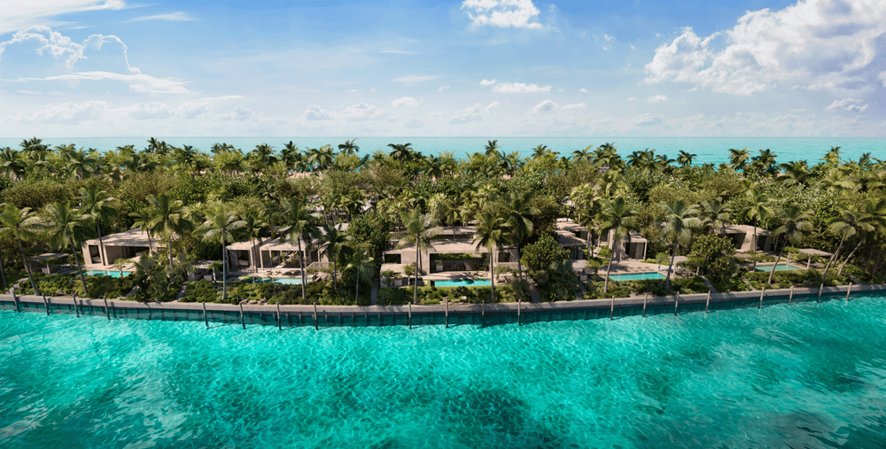 Banyan Tree