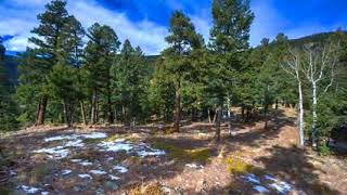 977 snyder mountain road evergreen co 240p 3