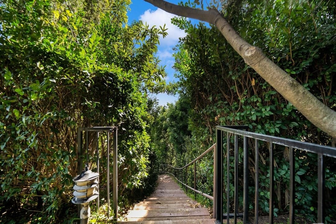 Valley Oasis