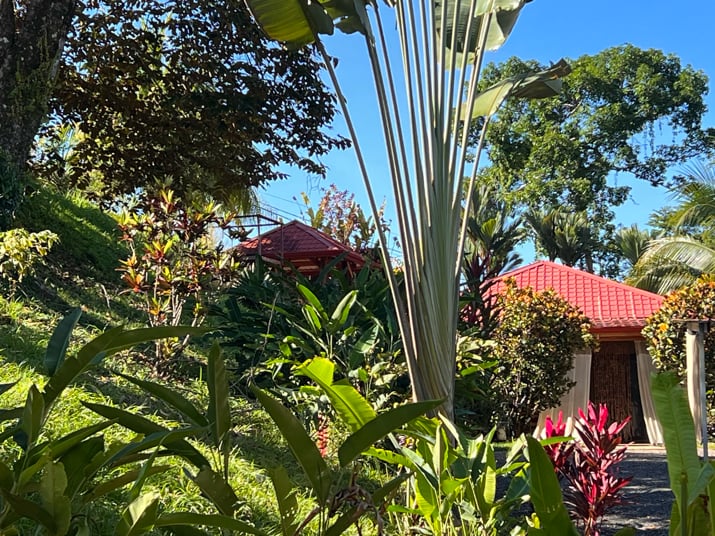 Peaceful 2-Bedroom Home in a Lush Garden in Ojochal